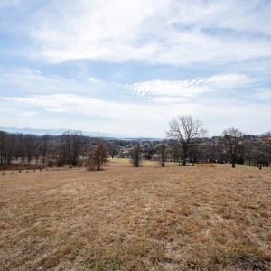 Photo #5 of Lot 200 COLCHESTER CT, ROCKINGHAM, VA 0.5 acres