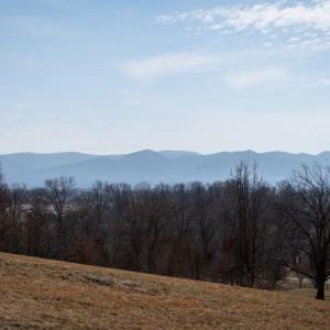 Photo #6 of Lot 200 COLCHESTER CT, ROCKINGHAM, VA 0.5 acres