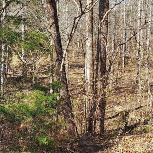 Photo #1 of 460 JEFFERSON, PALMYRA, VA 0.3 acres