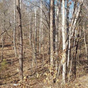 Photo #2 of 460 JEFFERSON, PALMYRA, VA 0.3 acres