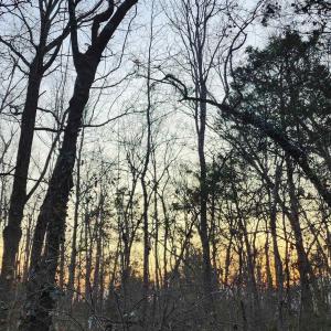 Photo #8 of NEW MARKET RD, HENRICO, VA 2.9 acres