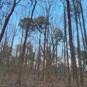 Photo #10 of NEW MARKET RD, HENRICO, VA 2.9 acres