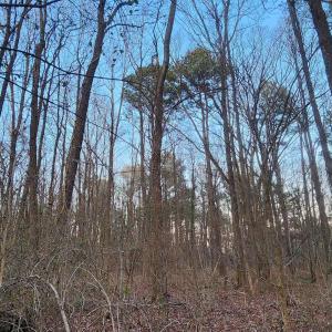 Photo #9 of NEW MARKET RD, HENRICO, VA 2.9 acres