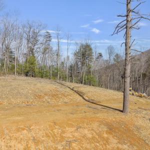 Photo #10 of 48 acres BLACKWELLS HOLLOW RD, CROZET, VA 48.5 acres