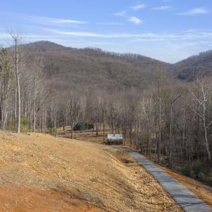 Photo #15 of 48 acres BLACKWELLS HOLLOW RD, CROZET, VA 48.5 acres