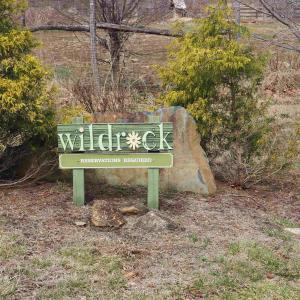 Photo #20 of 48 acres BLACKWELLS HOLLOW RD, CROZET, VA 48.5 acres