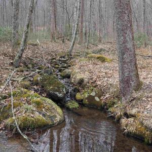 Photo #17 of 48 acres BLACKWELLS HOLLOW RD, CROZET, VA 48.5 acres