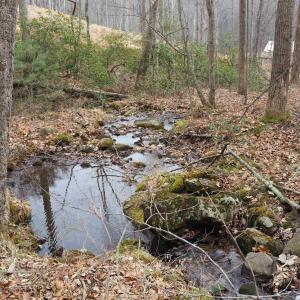 Photo #18 of 48 acres BLACKWELLS HOLLOW RD, CROZET, VA 48.5 acres