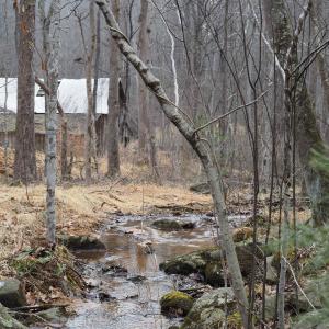Photo #16 of 48 acres BLACKWELLS HOLLOW RD, CROZET, VA 48.5 acres