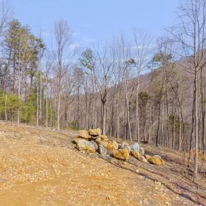 Photo #11 of 48 acres BLACKWELLS HOLLOW RD, CROZET, VA 48.5 acres