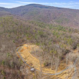 48 Acres Blackwells Hollow Rd.