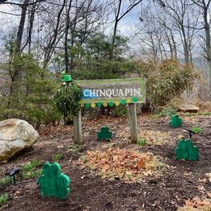 Photo #2 of TBD BEN LYONS LN, LYNDHURST, VA 5.7 acres