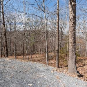 Photo #5 of TBD BEN LYONS LN, LYNDHURST, VA 5.7 acres
