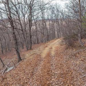 Photo #20 of TBD BEN LYONS LN, LYNDHURST, VA 5.7 acres