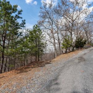 Photo #14 of TBD BEN LYONS LN, LYNDHURST, VA 5.7 acres