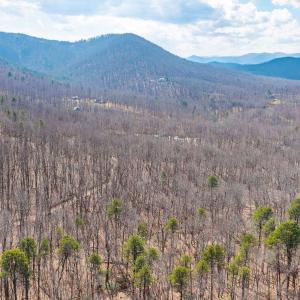 Photo #34 of TBD BEN LYONS LN, LYNDHURST, VA 5.7 acres