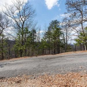 Photo #13 of TBD BEN LYONS LN, LYNDHURST, VA 5.7 acres