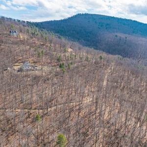 Photo #33 of TBD BEN LYONS LN, LYNDHURST, VA 5.7 acres