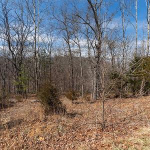 Photo #9 of TBD BEN LYONS LN, LYNDHURST, VA 5.7 acres