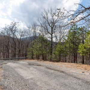 Photo #11 of TBD BEN LYONS LN, LYNDHURST, VA 5.7 acres