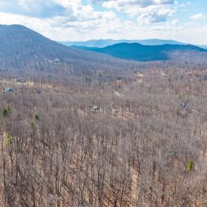 Photo #37 of TBD BEN LYONS LN, LYNDHURST, VA 5.7 acres