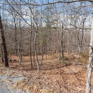 Photo #6 of TBD BEN LYONS LN, LYNDHURST, VA 5.7 acres