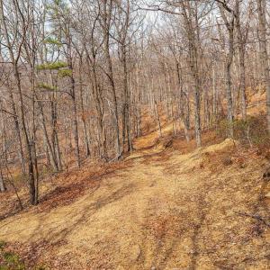 Photo #23 of TBD BEN LYONS LN, LYNDHURST, VA 5.7 acres