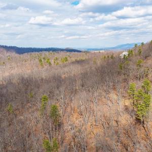 Photo #25 of TBD BEN LYONS LN, LYNDHURST, VA 5.7 acres