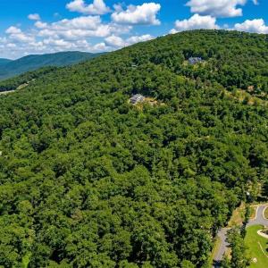 Photo #18 of TBD BEN LYONS LN, LYNDHURST, VA 5.7 acres