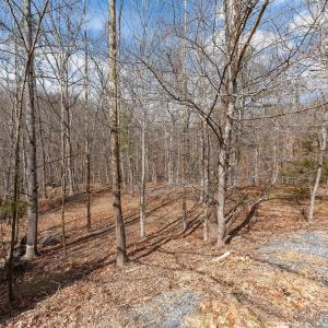 Photo #7 of TBD BEN LYONS LN, LYNDHURST, VA 5.7 acres