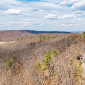 Photo #24 of TBD BEN LYONS LN, LYNDHURST, VA 5.7 acres