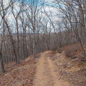 Photo #21 of TBD BEN LYONS LN, LYNDHURST, VA 5.7 acres