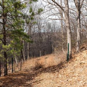 Photo #14 of TBD BEN LYONS LN, LYNDHURST, VA 5.7 acres