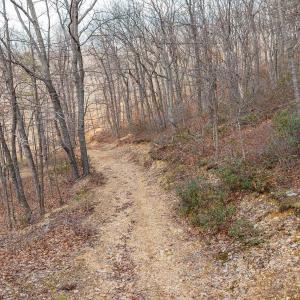 Photo #22 of TBD BEN LYONS LN, LYNDHURST, VA 5.7 acres