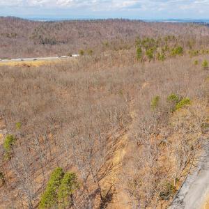 Photo #41 of TBD BEN LYONS LN, LYNDHURST, VA 5.7 acres