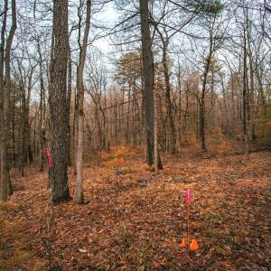 Photo #12 of Lot 47 FETTERBUSH LN, HINTON, VA 3.9 acres