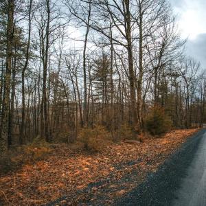 Photo #4 of Lot 47 FETTERBUSH LN, HINTON, VA 3.9 acres