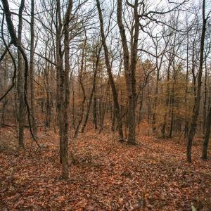 Photo #8 of Lot 47 FETTERBUSH LN, HINTON, VA 3.9 acres
