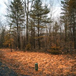 Photo #10 of Lot 47 FETTERBUSH LN, HINTON, VA 3.9 acres