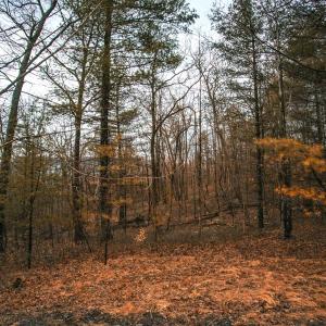 Photo #11 of Lot 47 FETTERBUSH LN, HINTON, VA 3.9 acres