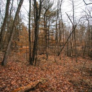 Photo #9 of Lot 47 FETTERBUSH LN, HINTON, VA 3.9 acres