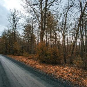 Photo #3 of Lot 47 FETTERBUSH LN, HINTON, VA 3.9 acres