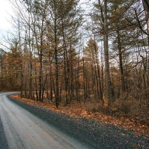 Photo #5 of Lot 47 FETTERBUSH LN, HINTON, VA 3.9 acres