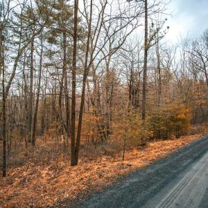 Photo #14 of Lot 47 FETTERBUSH LN, HINTON, VA 3.9 acres