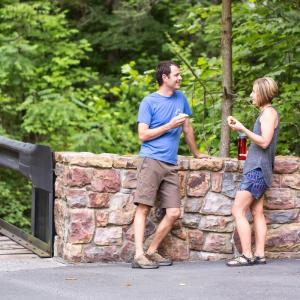 Bridge into the Highlands of Rawley Springs
