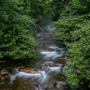 Photo #1 of Lot 47 FETTERBUSH LN, HINTON, VA 3.9 acres