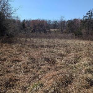 Photo #13 of GOLDFINCH CT, SCOTTSVILLE, VA 6.8 acres