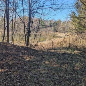 Photo #1 of GOLDFINCH CT, SCOTTSVILLE, VA 6.8 acres