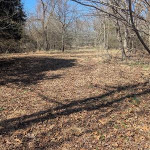 Photo #7 of GOLDFINCH CT, SCOTTSVILLE, VA 6.8 acres