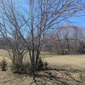 Photo #4 of GOLDFINCH CT, SCOTTSVILLE, VA 6.8 acres